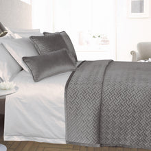 Load image into Gallery viewer, French Velvet Silver Bed Throw