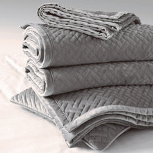 Load image into Gallery viewer, French Velvet Silver Bed Throw