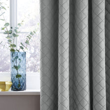 Load image into Gallery viewer, So Soft Luxe Velvet Silver Curtains