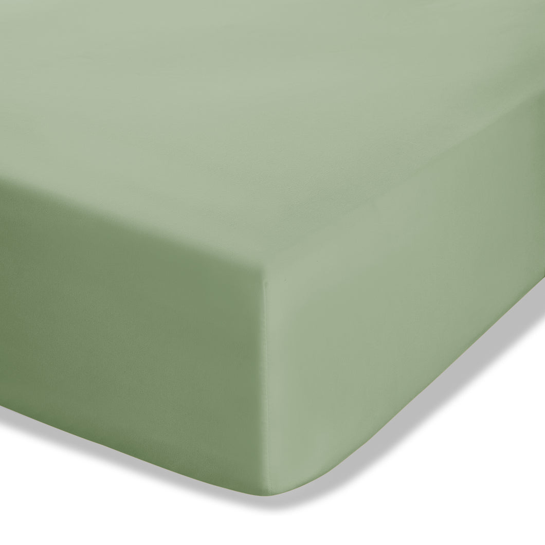 Easy Iron Percale Fitted Sheet - Sage Green