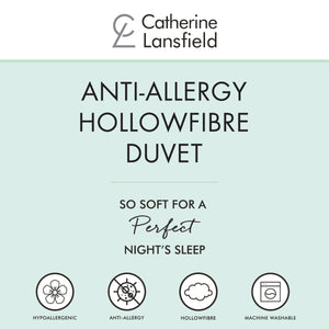 Anti Allergy Hollowfibre Duvet 13.5 Tog