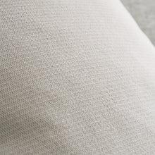Load image into Gallery viewer, Wilson Velvet Filled Cushion - Grey
