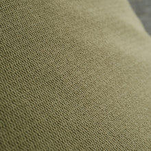 Load image into Gallery viewer, Wilson Velvet Filled Cushion - Olive Green
