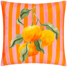 Load image into Gallery viewer, Oranges Outdoor Cushion Cover Orange
