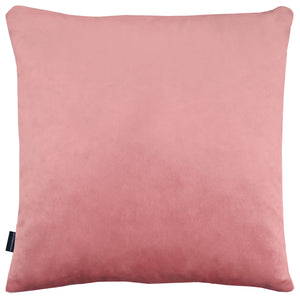 Linear Blush Cushion Cover