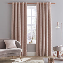 Load image into Gallery viewer, So Soft Luxe Velvet Blush Curtains
